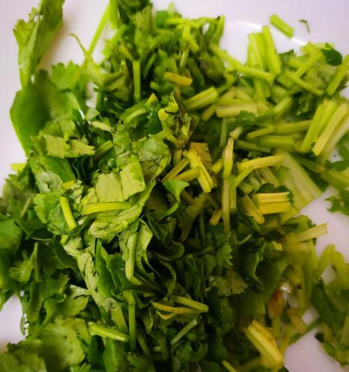香菜饼怎么做？有哪些简单易学的香菜饼食谱？