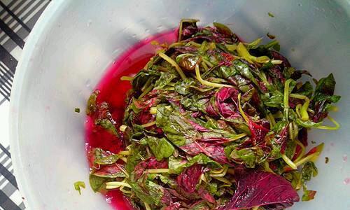 苋菜汁手擀面怎么做？制作步骤和常见问题解答？