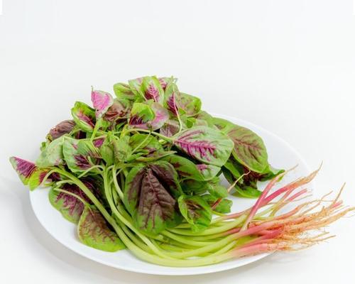 苋菜元宝饺怎么做？详细步骤有哪些？