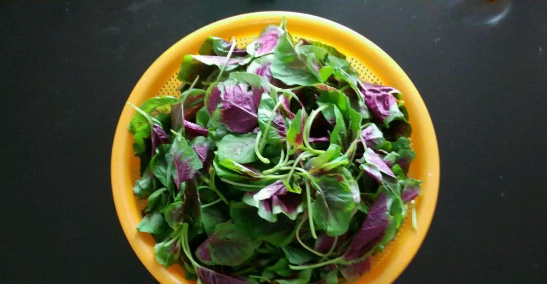 苋菜荔枝怎么做？制作步骤有哪些？
