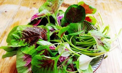 苋菜鸡蛋汤面怎么做？神奇面粉的制作方法是什么？