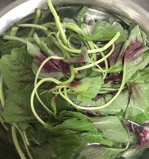 苋菜拌粉条的做法是什么？如何做出美味的苋菜拌粉条？