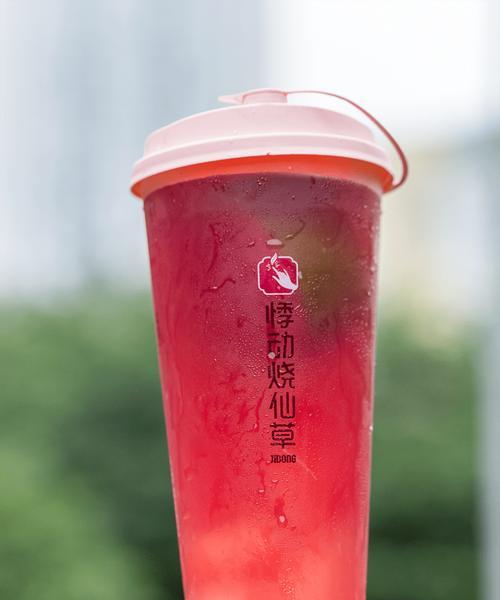 鲜榨荔枝汁怎么做？步骤和技巧有哪些？
