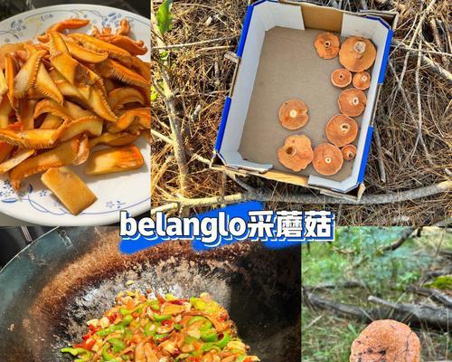 清炒松蘑怎么做才好吃？步骤和技巧是什么？