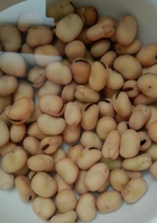 煮蚕豆的做法是什么？如何煮出美味的蚕豆？