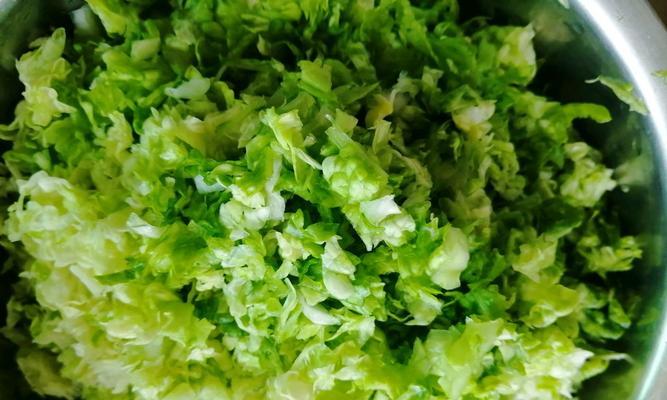 蔬菜饺怎么做？有哪些简单易学的蔬菜饺食谱？