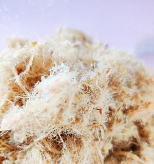 自制宝宝肉松怎么做？安全又营养的食谱有哪些？