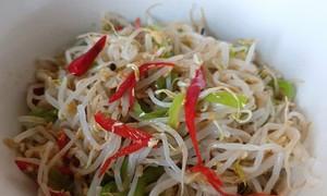 自己动手升绿豆芽的做法？步骤和注意事项是什么？