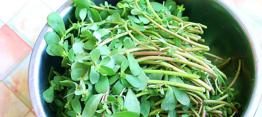 自制野菜汁怎么做？有哪些健康益处？