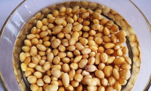 自制营养豆浆怎么做？有哪些常见问题及解决方法？