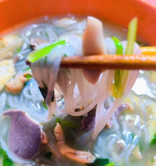 土鸭炖粉条怎么做？步骤和技巧是什么？