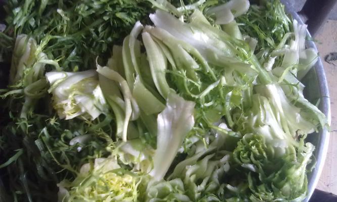 清炒素四色怎么做？步骤和技巧有哪些？