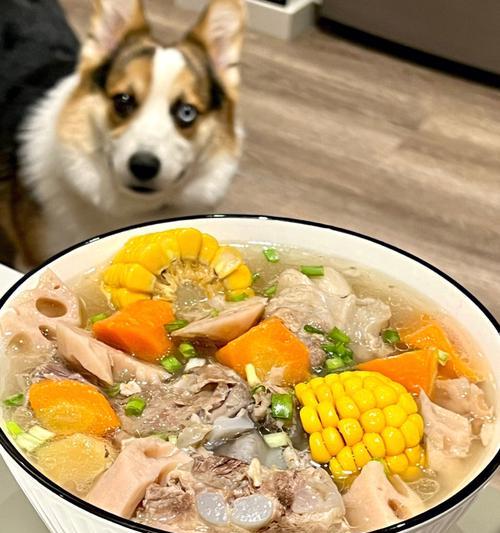 玉米连藕排骨汤怎么做？有哪些步骤和技巧？