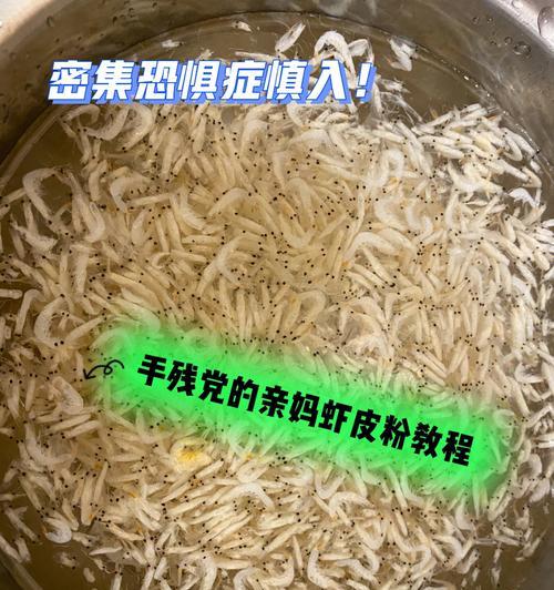 虾粉的做法是什么？如何在家轻松制作美味虾粉？