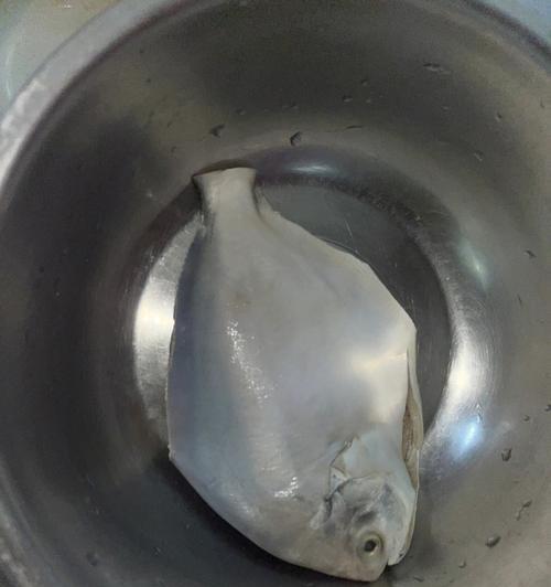 清蒸红鲳鱼的做法是什么？如何确保鱼肉鲜嫩不腥？