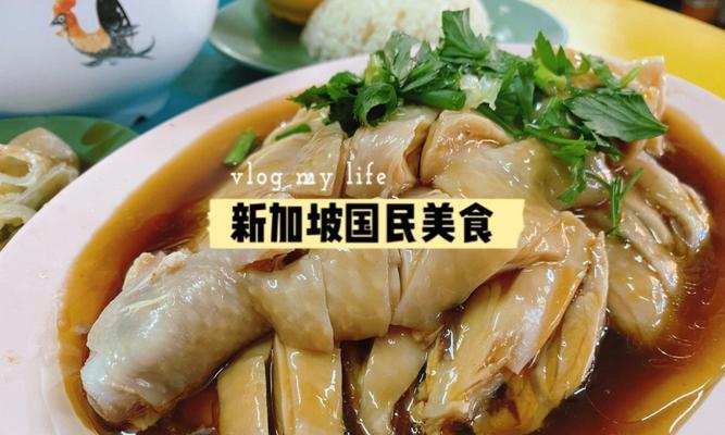 如何制作醍醐味海南鸡饭（海南鸡饭制作全攻略）