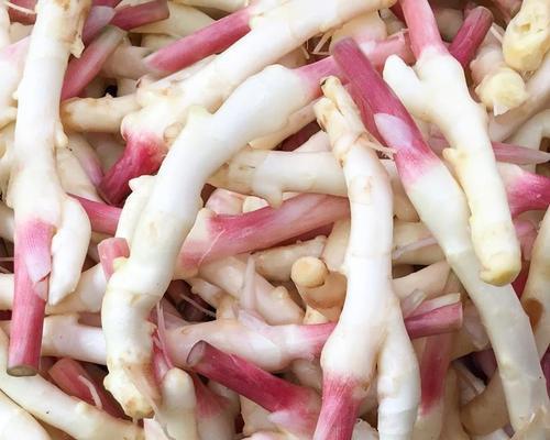 四川风味小食——火烧辣椒拌仔姜（一道开胃美味的麻辣小吃）