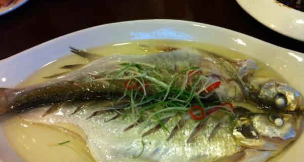 清蒸太湖白鱼怎么做？步骤和技巧有哪些？