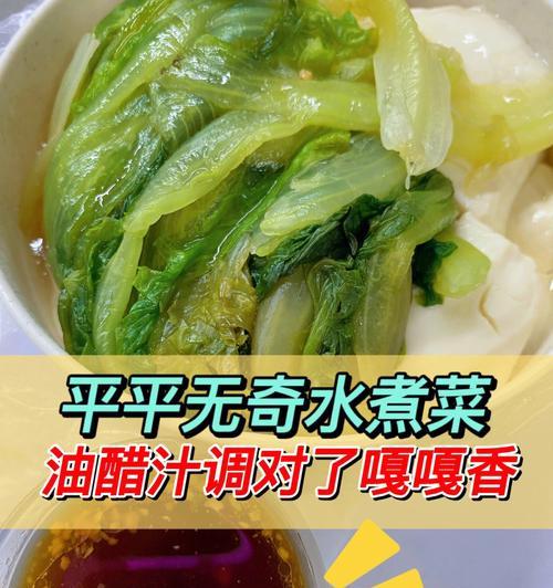 掌握调味技巧，让家常菜更有味道（掌握调味技巧）