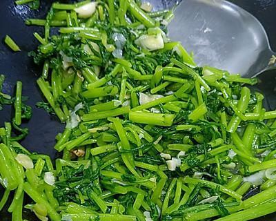 蒜茸茼蒿的做法（家常菜谱）
