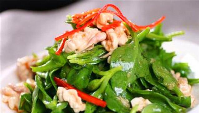 田七拌海螺的做法是什么？步骤详解如何做？