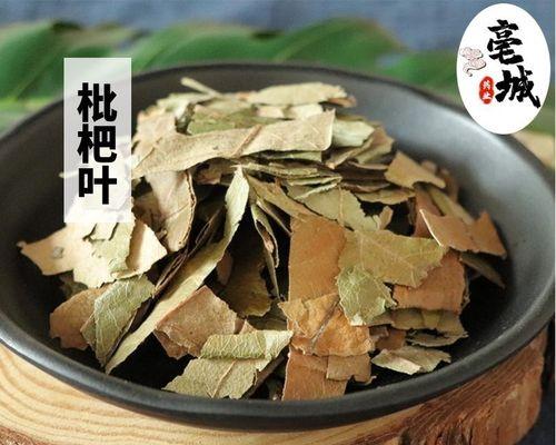 煮枇杷叶的做法是什么？有哪些健康益处？